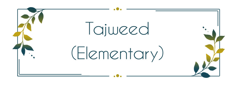 Practical Tajweed - Elementary