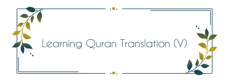 Learning Quran Translation (V)