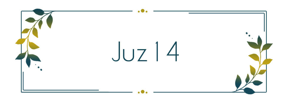 Juz 14